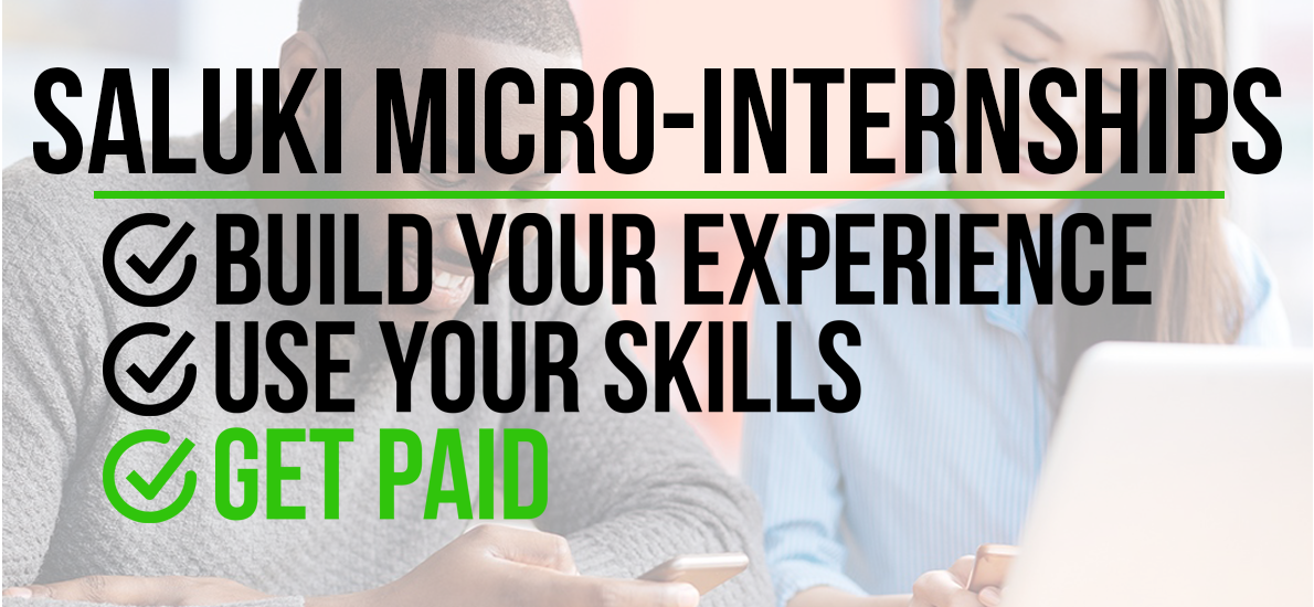 Saluki Micro-Internships Build Your Experience Use Your Skills Get Paid